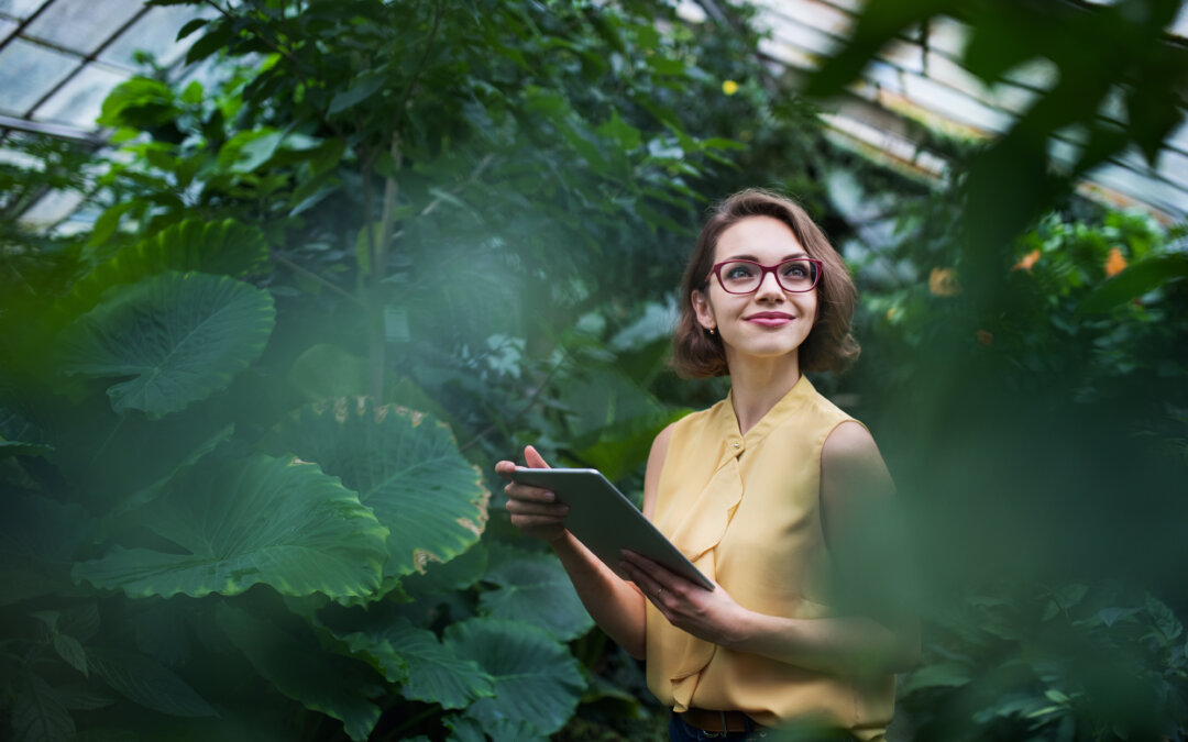 Organisaation vastuullisuusraportin laadinta käytännössä