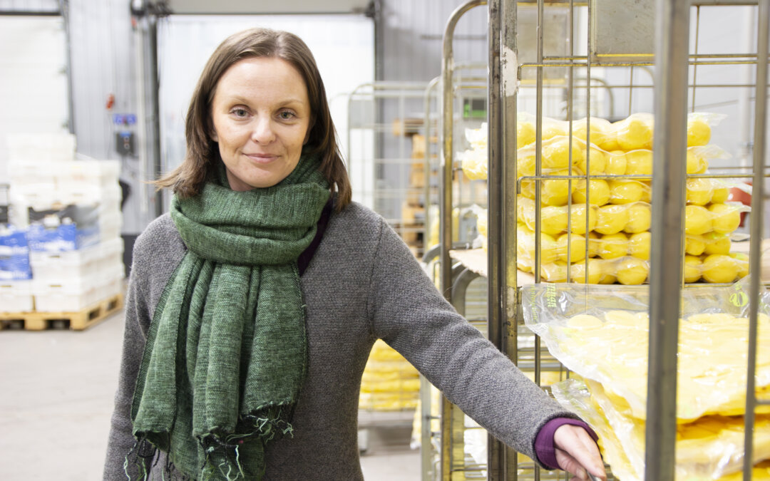 Kestävästi keittiöön ja lautaselle – Kotirannan Vihannesjaloste Oy