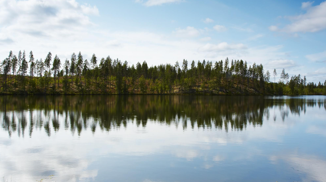 Ylä- ja Itäkainuun ikonikuva